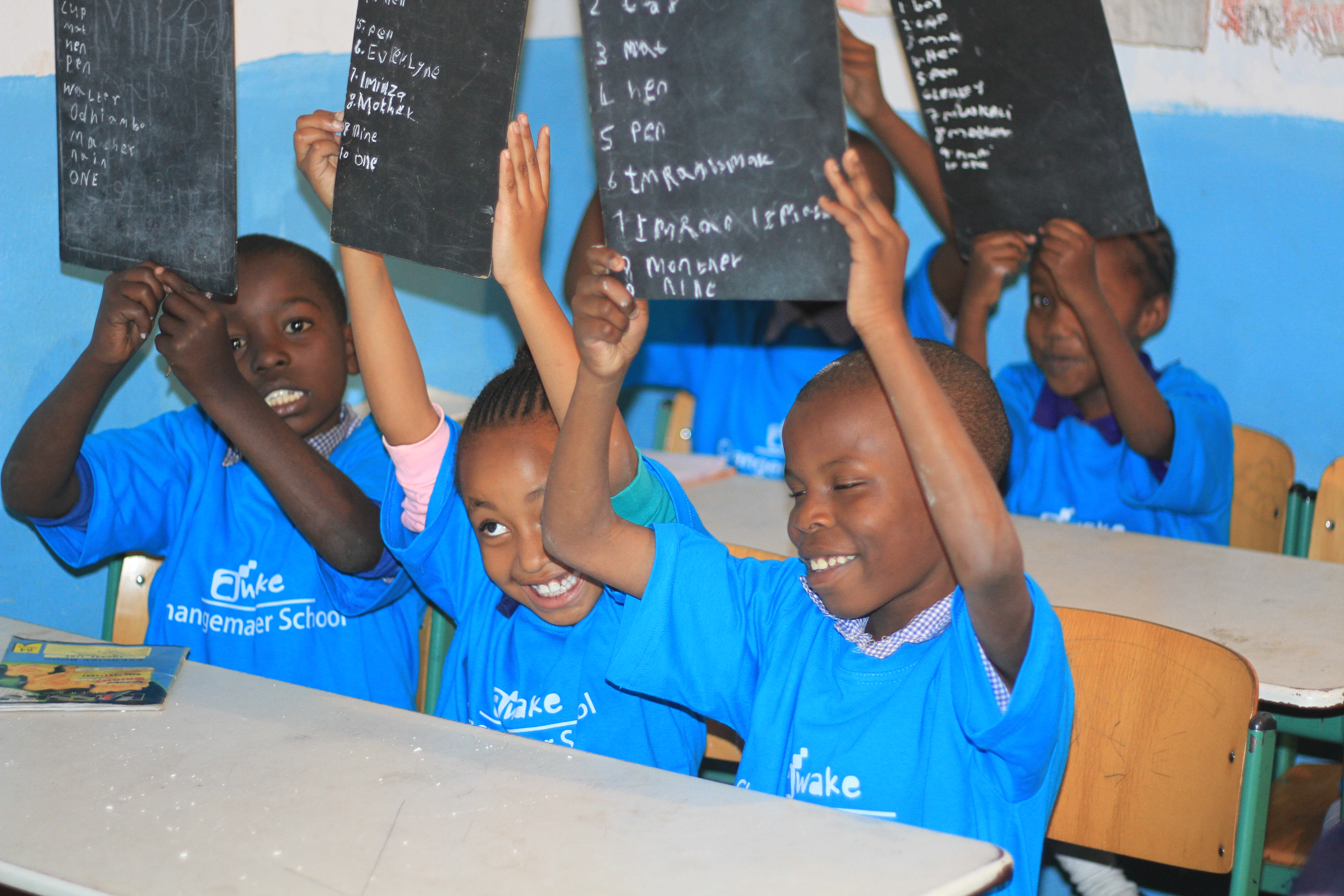 Awake Changemaker School